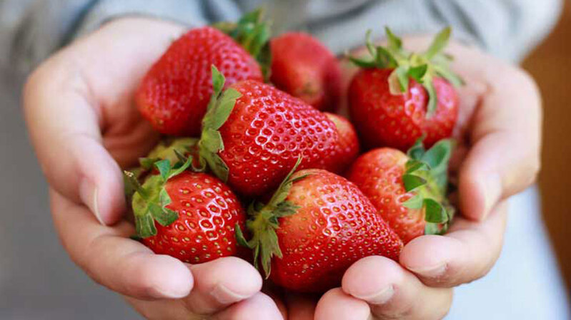 strawberries-1296x728-feature (1)